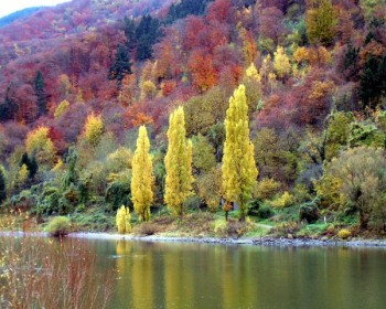 Herbst in Ediger-Eller 3